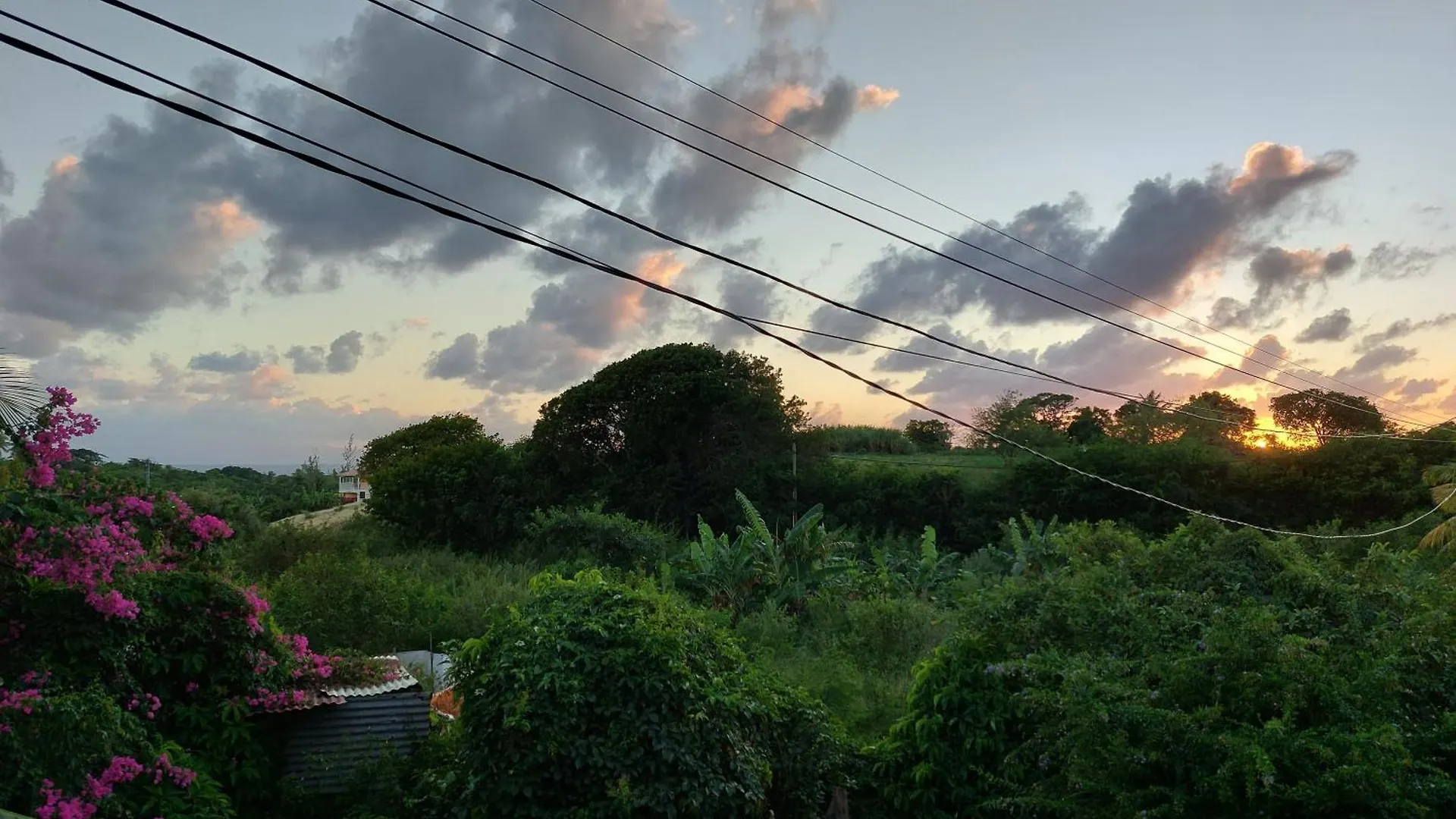 La Jemeli Hotel Grand-Bourg  Guadeloupe