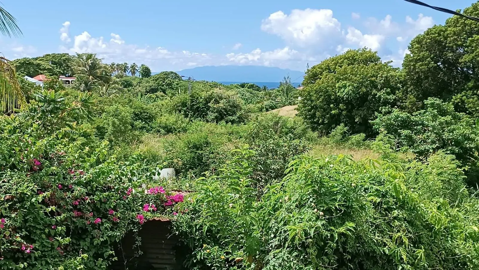 La Jemeli Hotel Grand-Bourg  Guest house Grand-Bourg (Marie Galante)